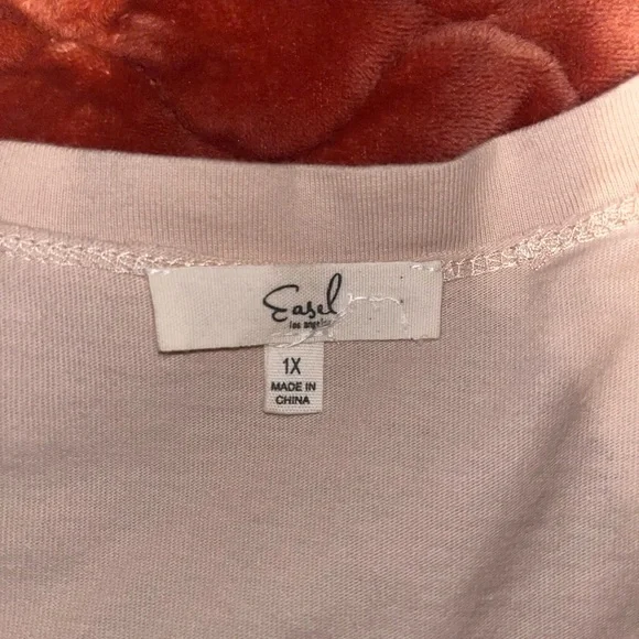 easel Cream Short Sleeve Top with Pink & Multi-Color Floral Appliqués - Picture 4 of 4